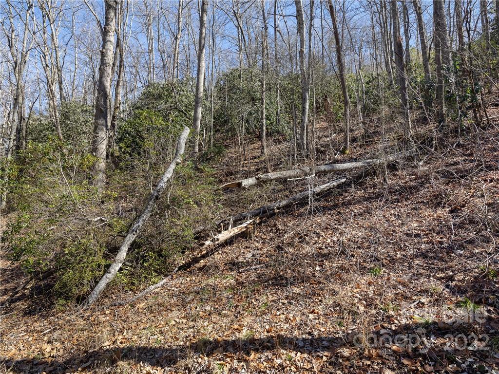 130 Saw Branch Road Candler, NC 28715 - Photo 9 of 12 Gallery Image 9