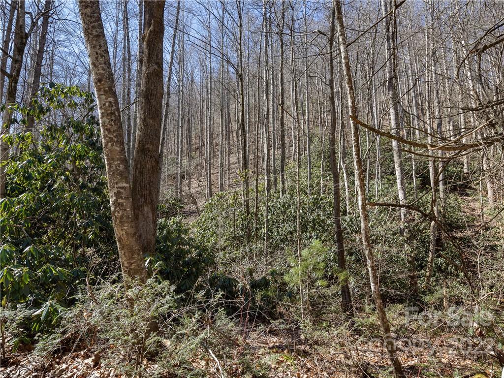 130 Saw Branch Road Candler, NC 28715 - Photo 10 of 12 Gallery Image 10