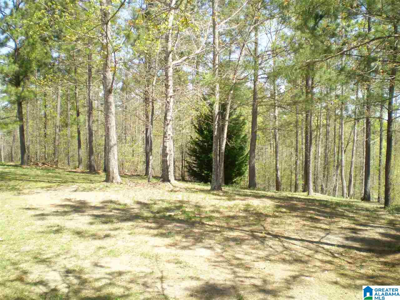 164 Rock Crest Road Odenville, AL 35120 - Photo 14 of 50