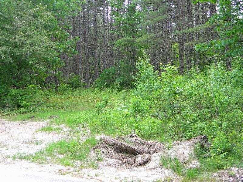 1 Hardscrabble Road Harrison, ME 04040 - Photo 3 of 6 Land/Lot.