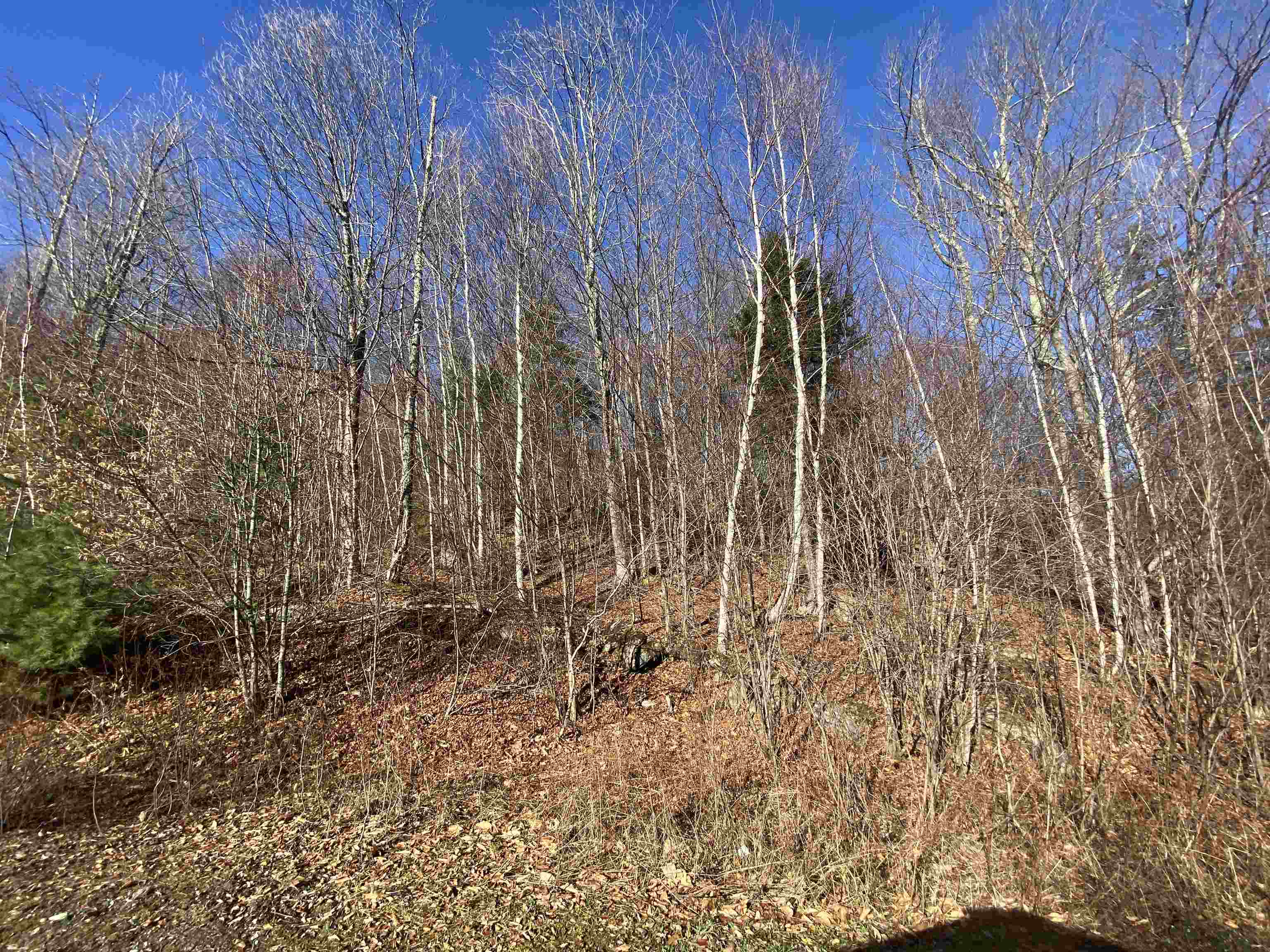544 Campbell Road Bethel, VT 05032 - Photo 17 of 21