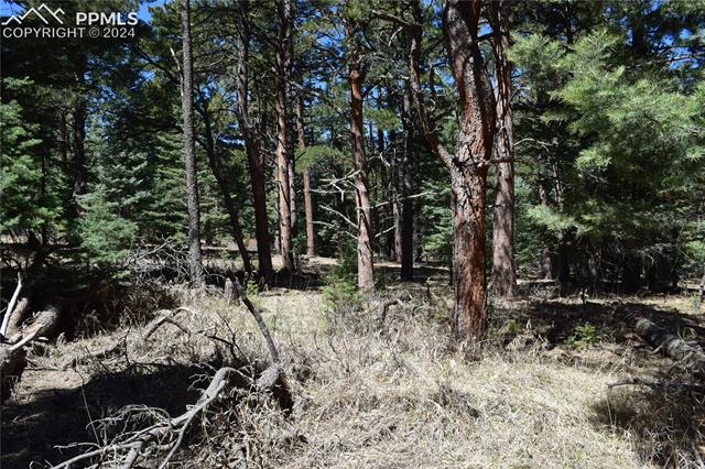 8500 Park Road Rye, CO 81069 - Photo 25 of 28 Gallery Image 25