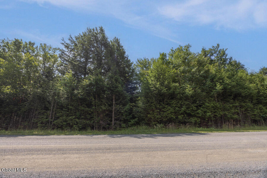 87 Pond View Way Grafton, NY 12138 - Photo 3 of 7 87-Pondview-3