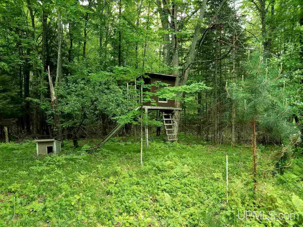 1714 Co Road Florence, WI 54121 - Photo 3 of 7