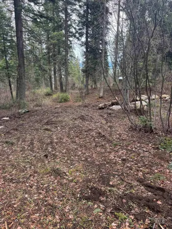 $99,950 | 1204 Porcupine Road, Cascade, ID 83611