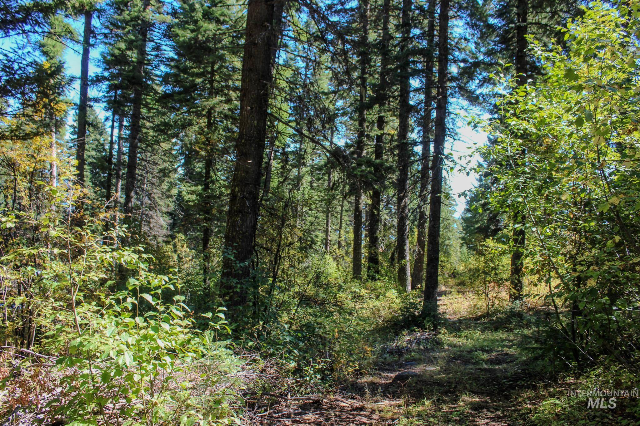 1204 Porcupine Road Cascade, ID 83611 - Photo 3 of 7