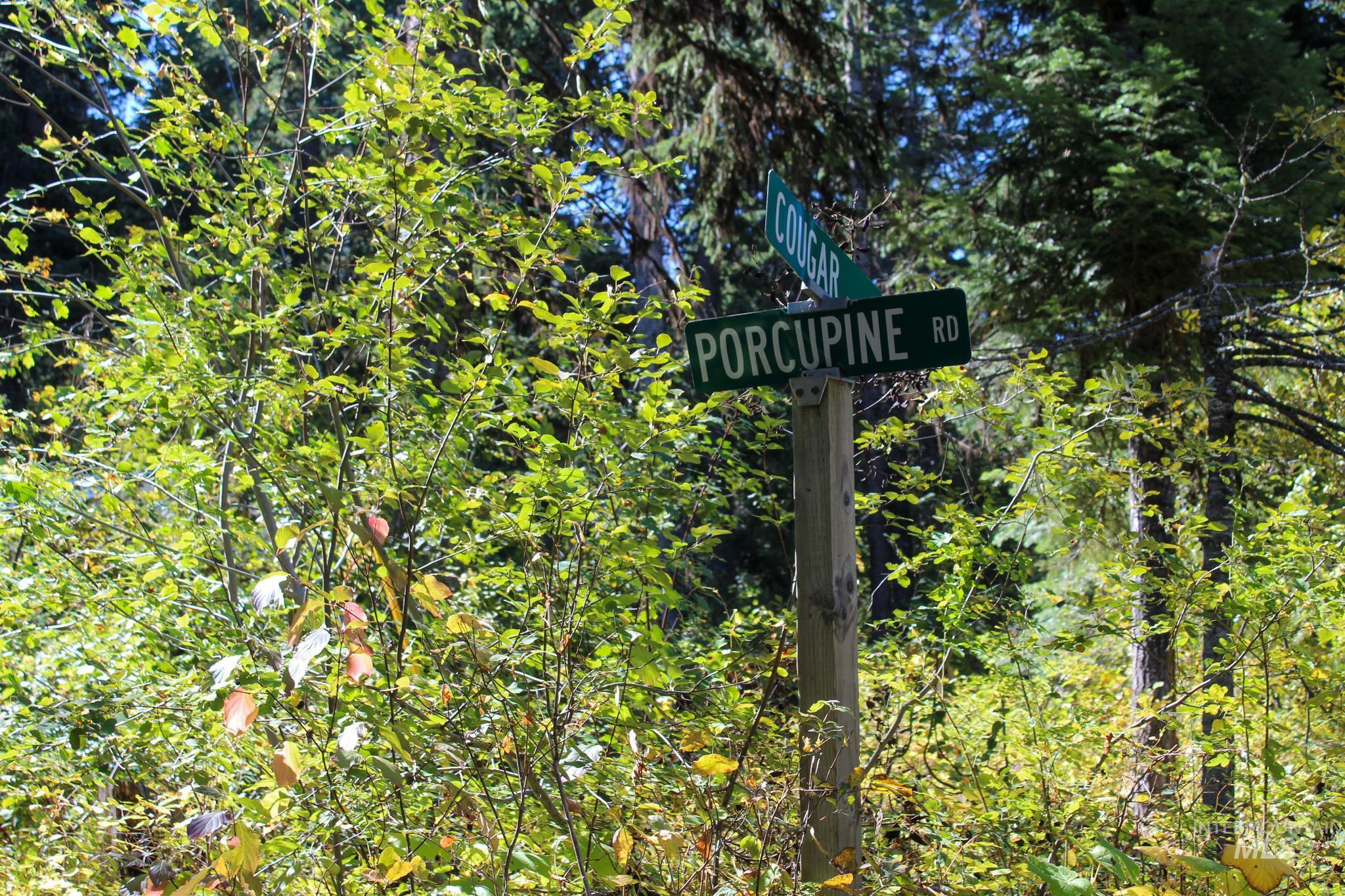 1204 Porcupine Road Cascade, ID 83611 - Photo 7 of 7