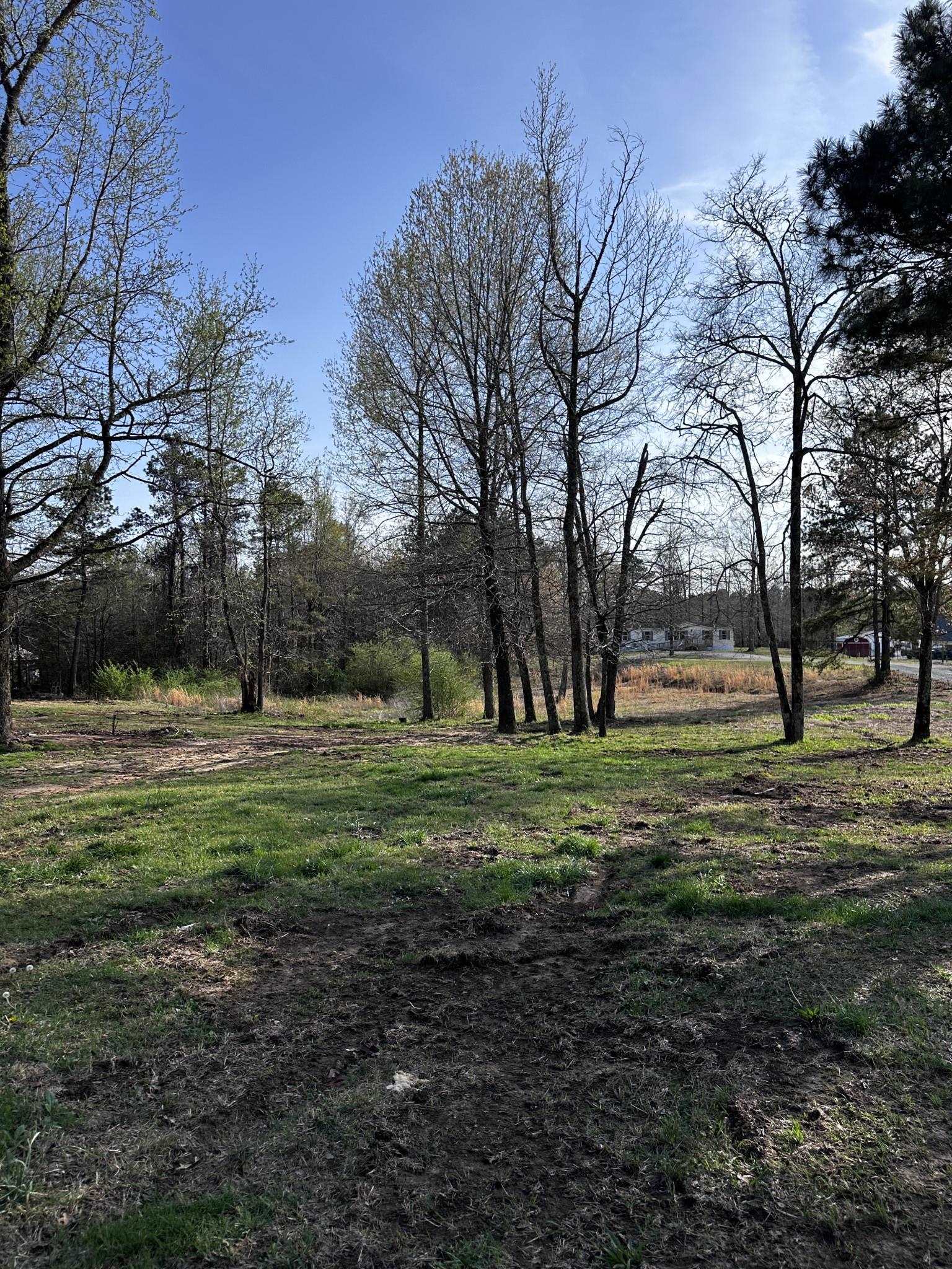 270 Webb Mill Bridge Road Hornsby, TN 38044 - Photo 17 of 19 View of yard