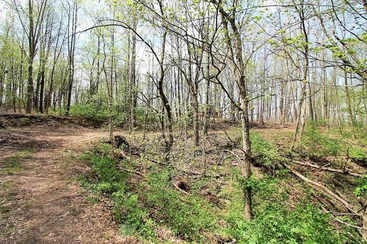 5855 West Gas Line Road Mulberry, IN 46058 - Photo 3 of 12 Gallery Image 3