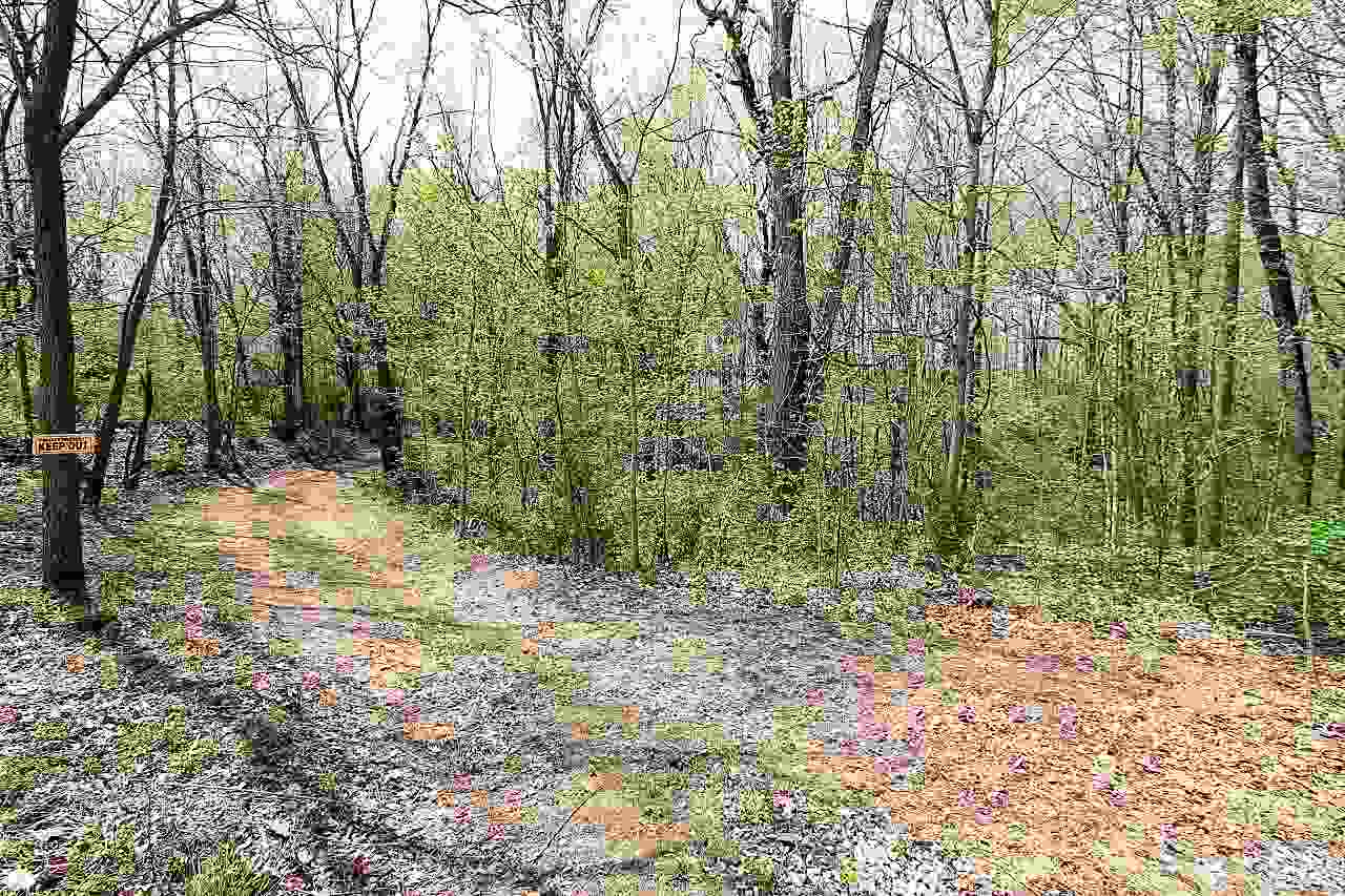 5855 West Gas Line Road Mulberry, IN 46058 - Photo 10 of 12 Gallery Image 10