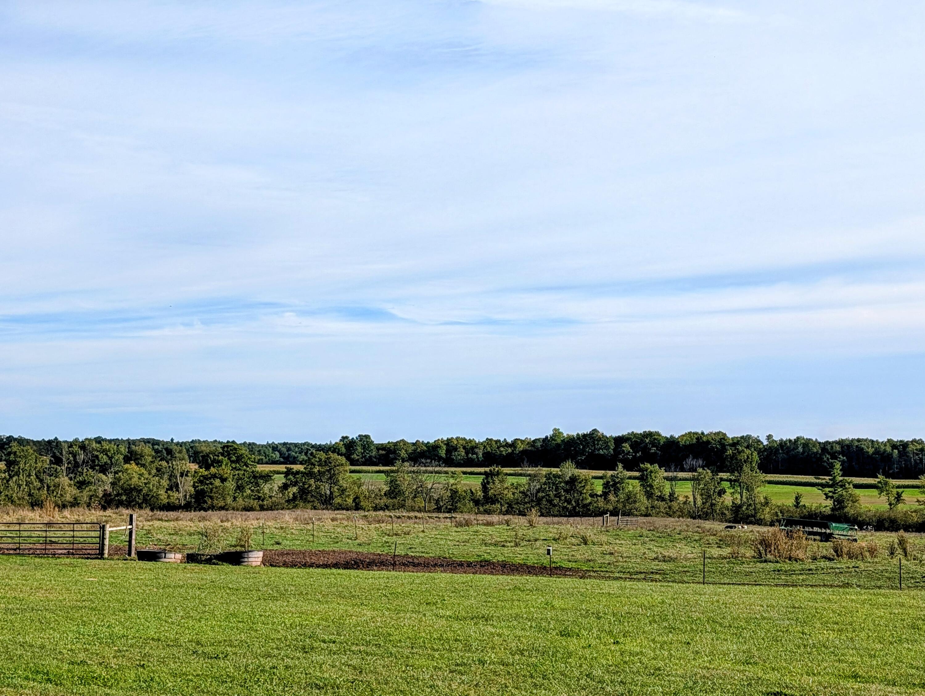 17675 Pierce Road Stanwood, MI 49346 - Photo 52 of 70 PASTURE 1