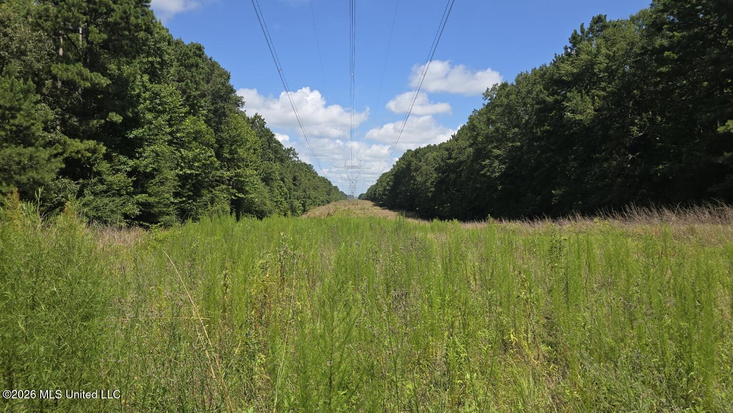 3995 Choctaw Road Brookhaven, MS 39601 - Photo 13 of 73 20260709_112616