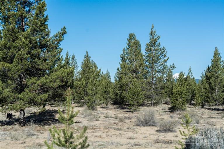 153 Sunstone Loop Bend, OR 97707 - Photo 19 of 21 Additional Photo