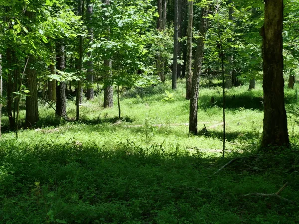 $5,065,610 | 3256 Summer City Road, Pikeville, TN 37367