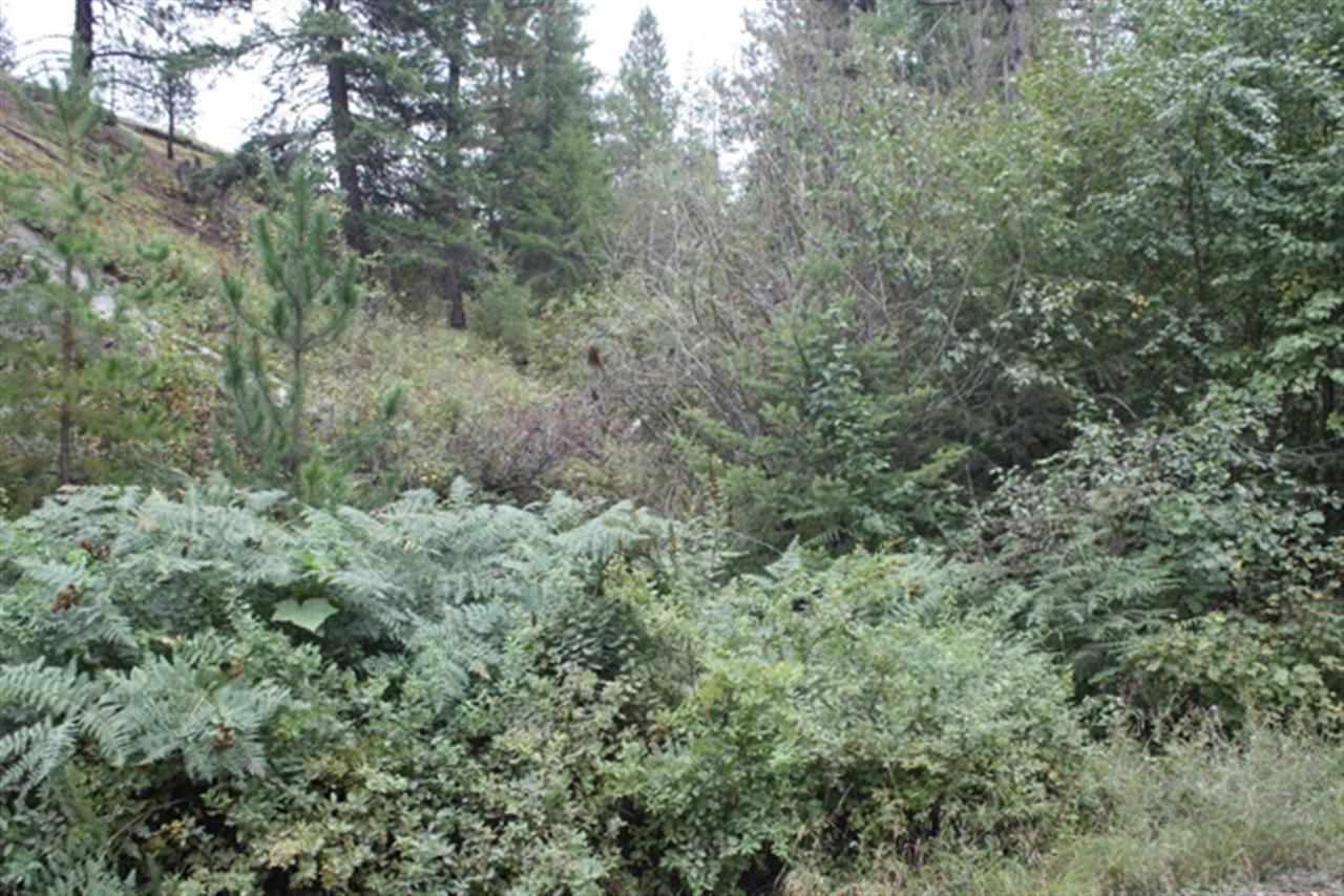 0 Granite Road Newport, WA 99156 - Photo 3 of 10