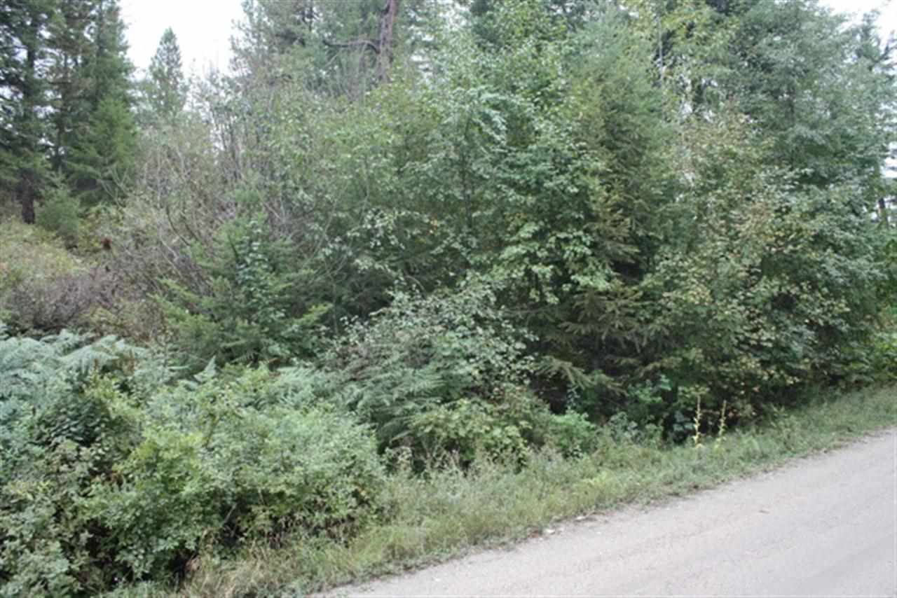 0 Granite Road Newport, WA 99156 - Photo 4 of 10