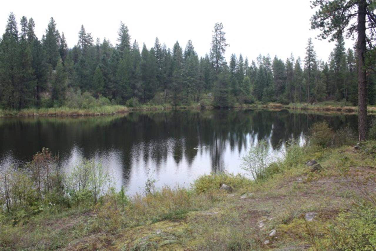0 Granite Road Newport, WA 99156 - Photo 8 of 10