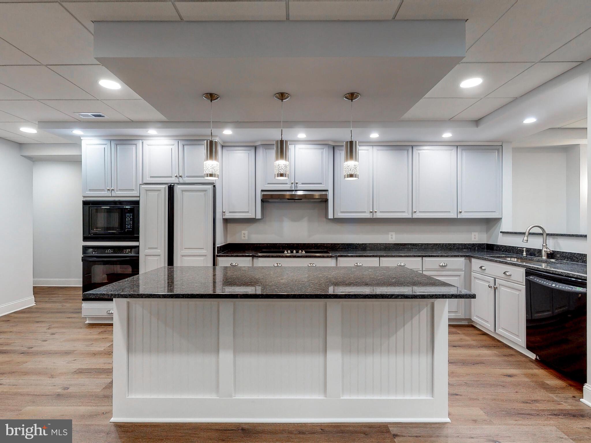 1637 Cold Bottom Road Sparks Glencoe, MD 21152 - Photo 82 of 117 Lower Level Full Kitchen