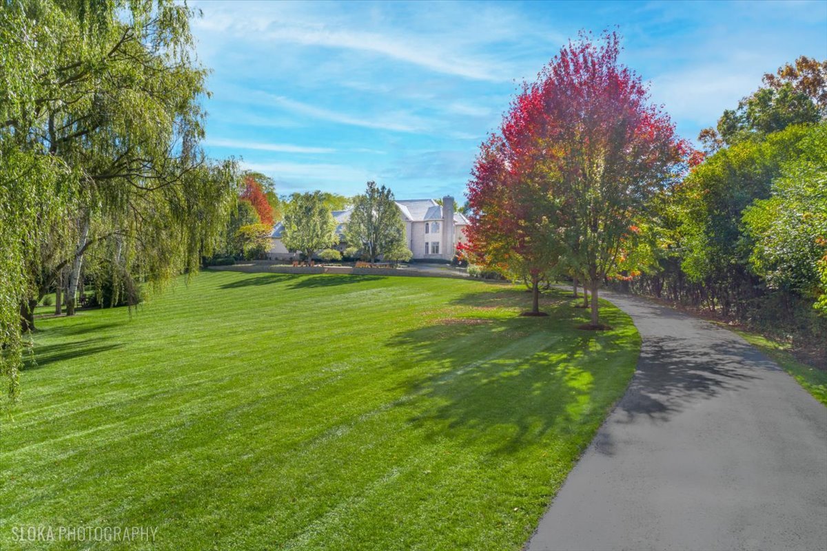 51 Brinker Road Barrington Hills, IL 60010 - Photo 9 of 113