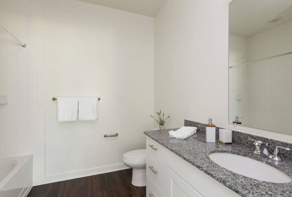1 Paddock Lane, Unit 4303 Boxborough, MA 01719 - Photo 6 of 19