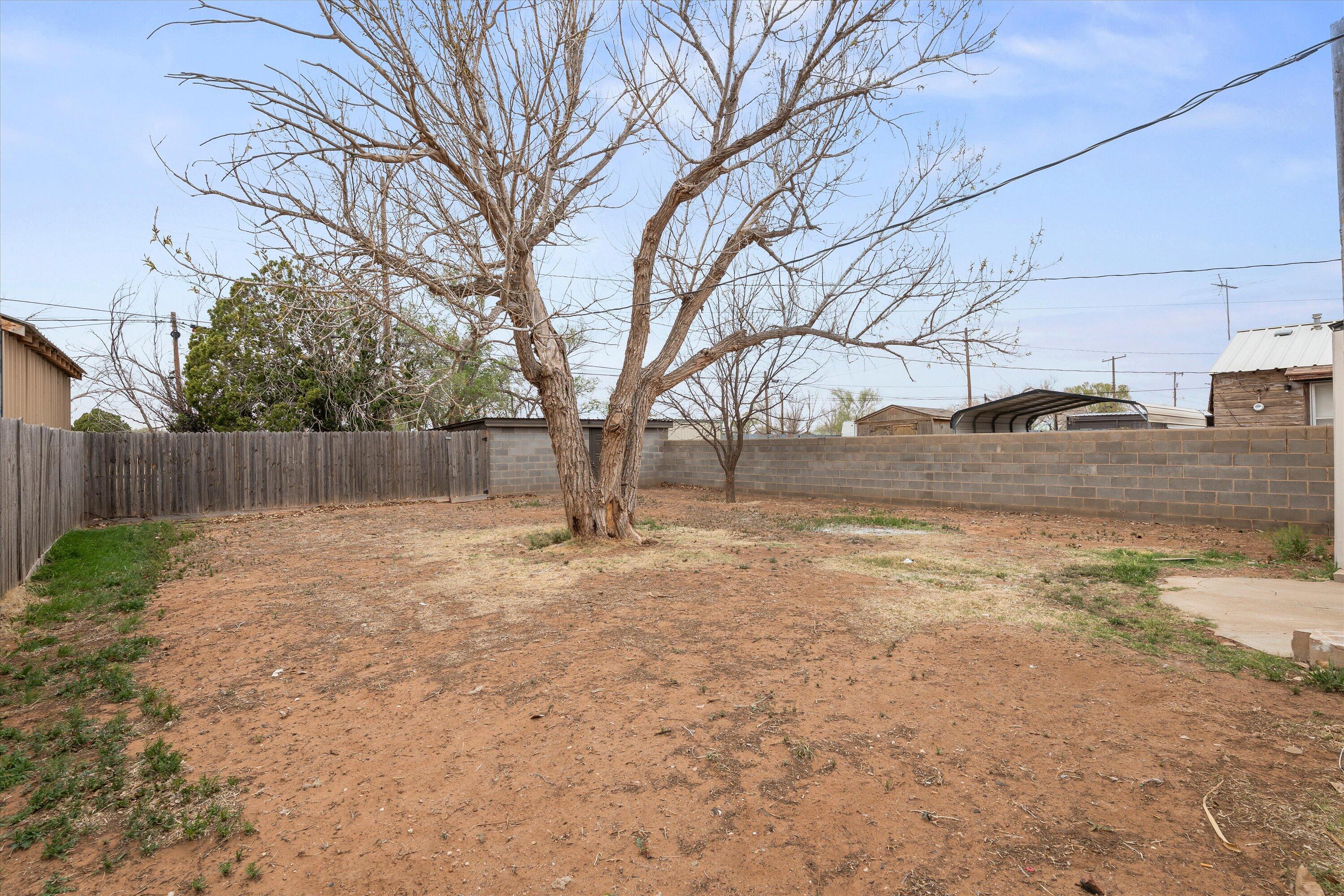 204 Ave L Levelland, TX 79336 - Photo 24 of 27 a view of yard covered with snow in front of house