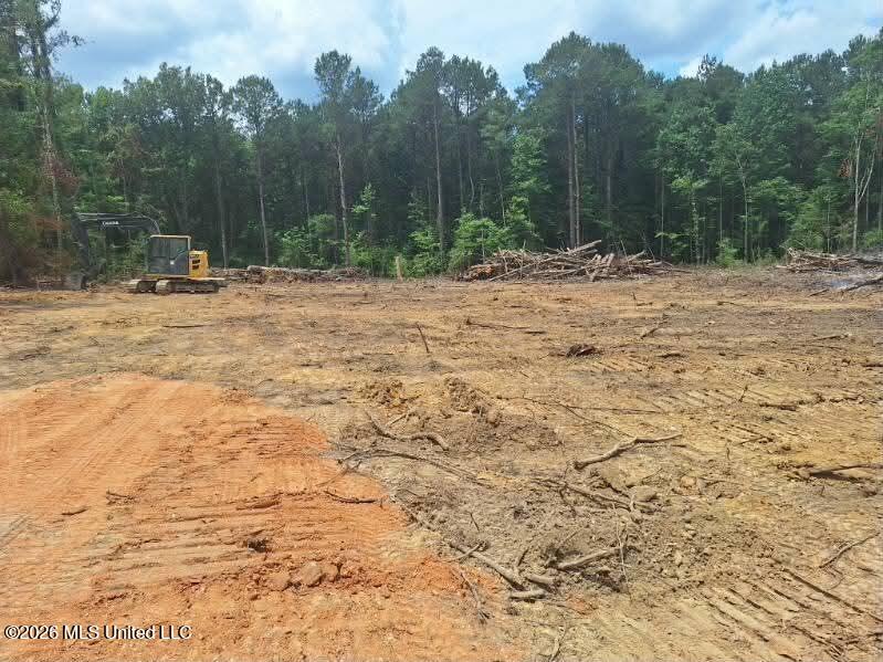 709 Old Pinola Braxton Road Braxton, MS 39044 - Photo 11 of 13 76fbb6da-1a1a-49a6-8a0e-f4a515f8594c