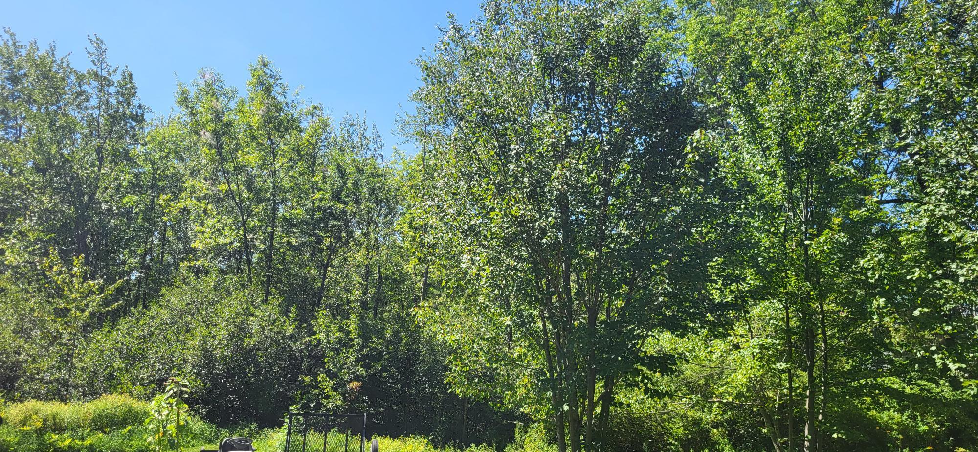 43 Quaker Road Sidney, ME 04330 - Photo 26 of 31 20250815_123631