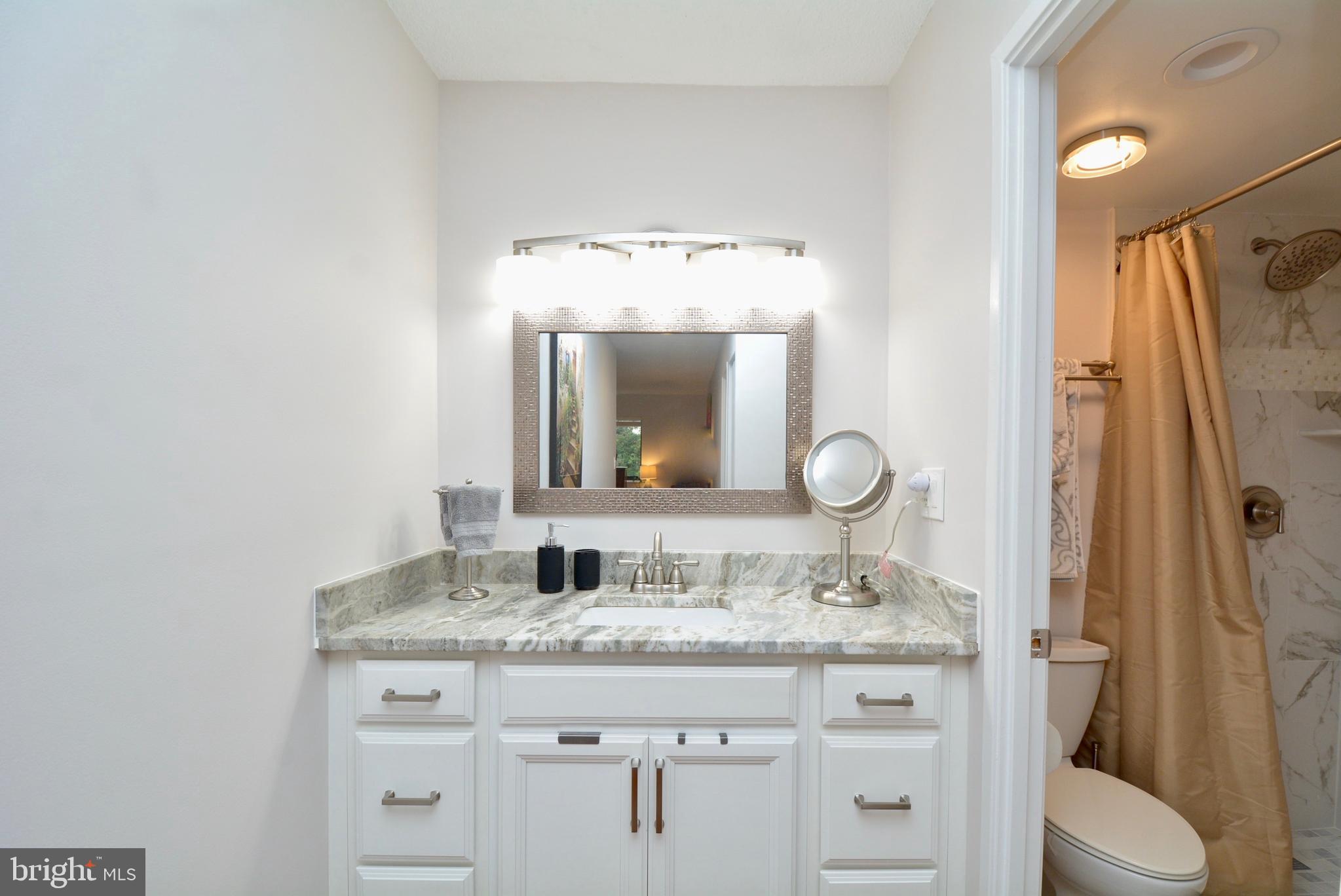 5902 Mt Eagle Drive, Unit 516 Alexandria, VA 22303 - Photo 22 of 55 Primary bath fully renovated