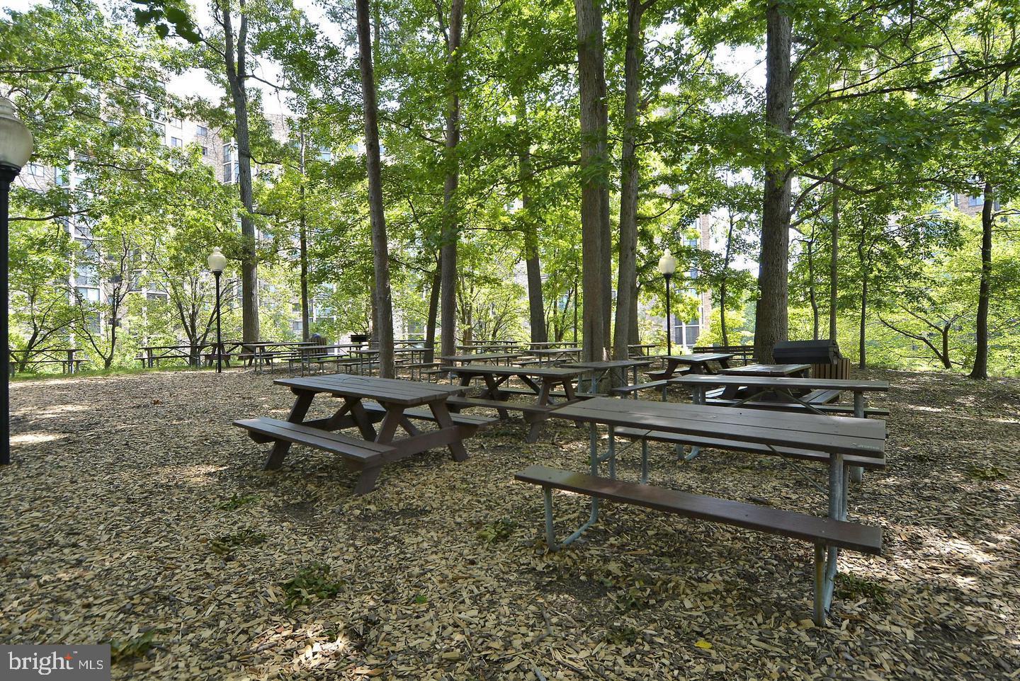 5902 Mt Eagle Drive, Unit 516 Alexandria, VA 22303 - Photo 50 of 55 Picnic hill for families, community events