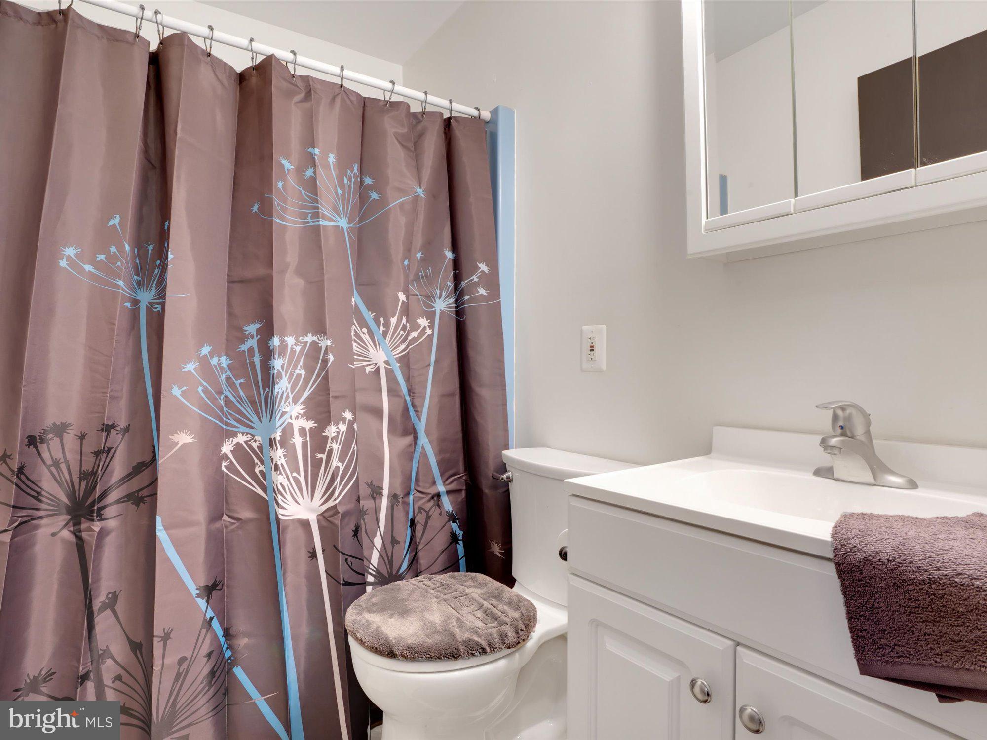 1143 Canadochly Road York, PA 17406 - Photo 14 of 25 Family bath