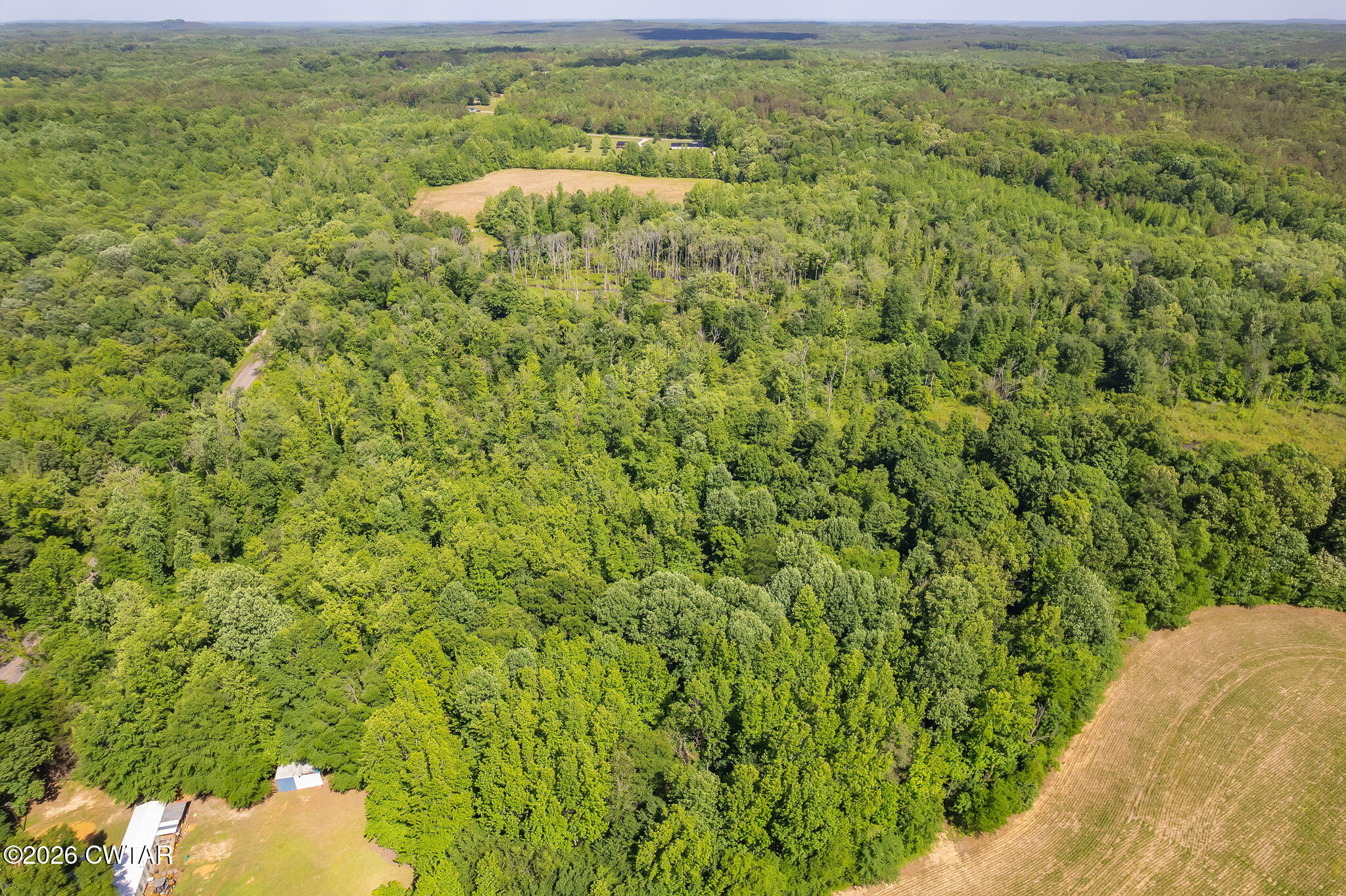 0 Plainview Road Henderson, TN 38340 - Photo 15 of 25 drone 7