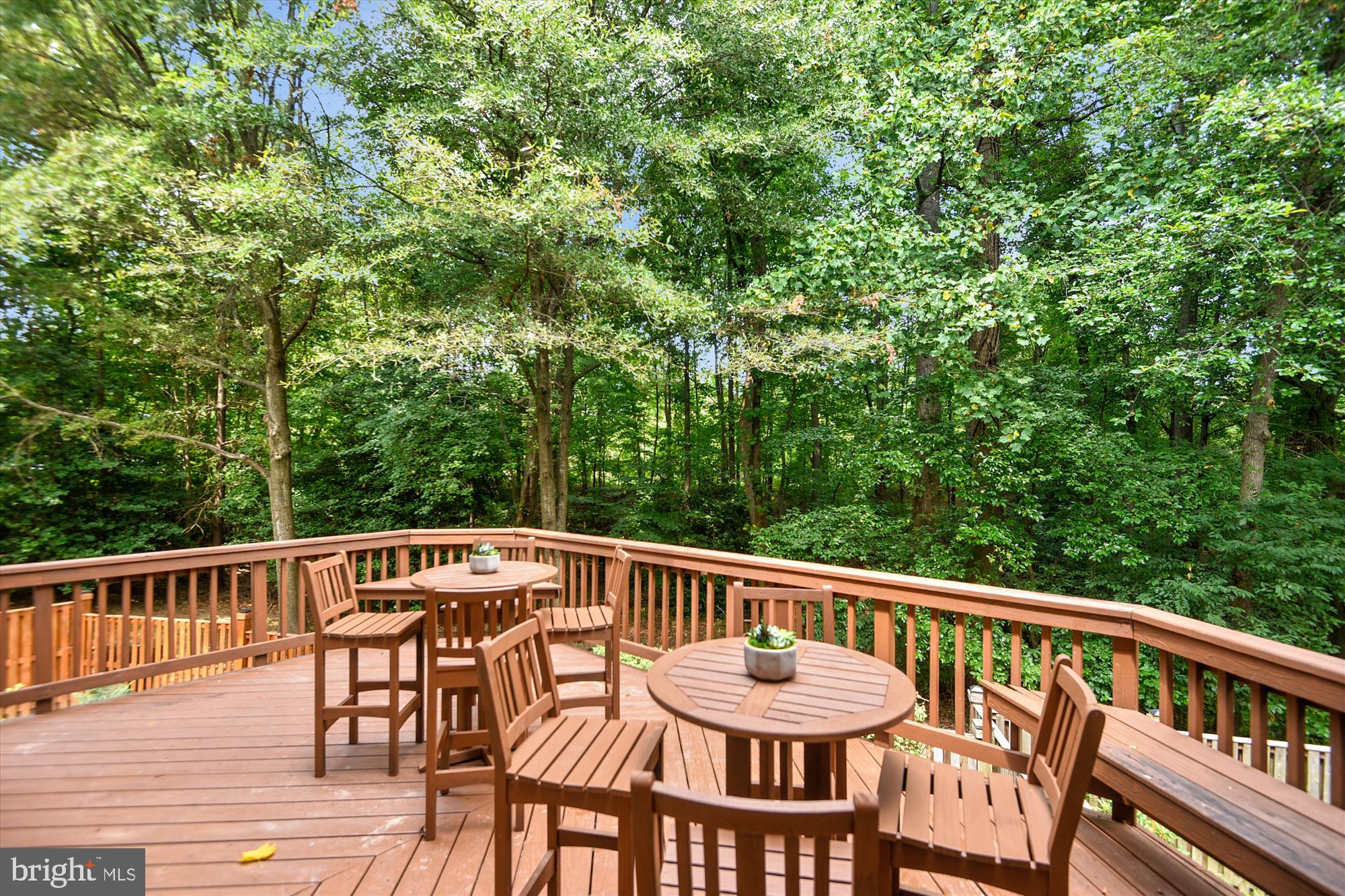 1203 Weatherstone Court Reston, VA 20194 - Photo 19 of 63 Main level deck furniture conveys