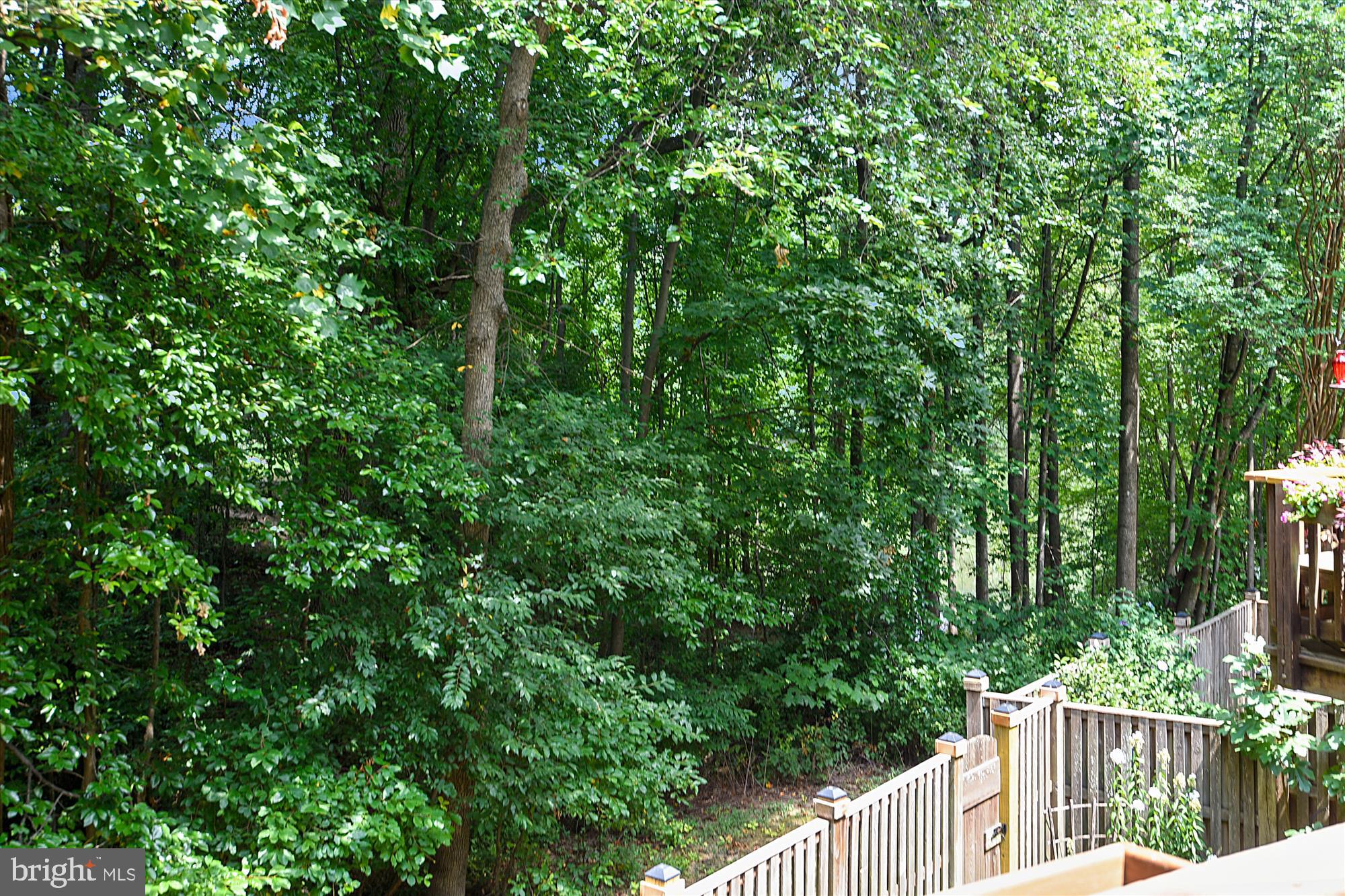 1203 Weatherstone Court Reston, VA 20194 - Photo 49 of 63 Gorgeous rear views!