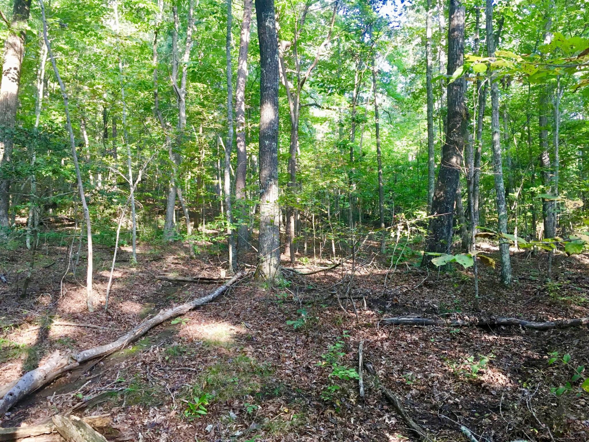 0 Vulcan Road Rising Fawn, GA 30738 - Photo 2 of 13