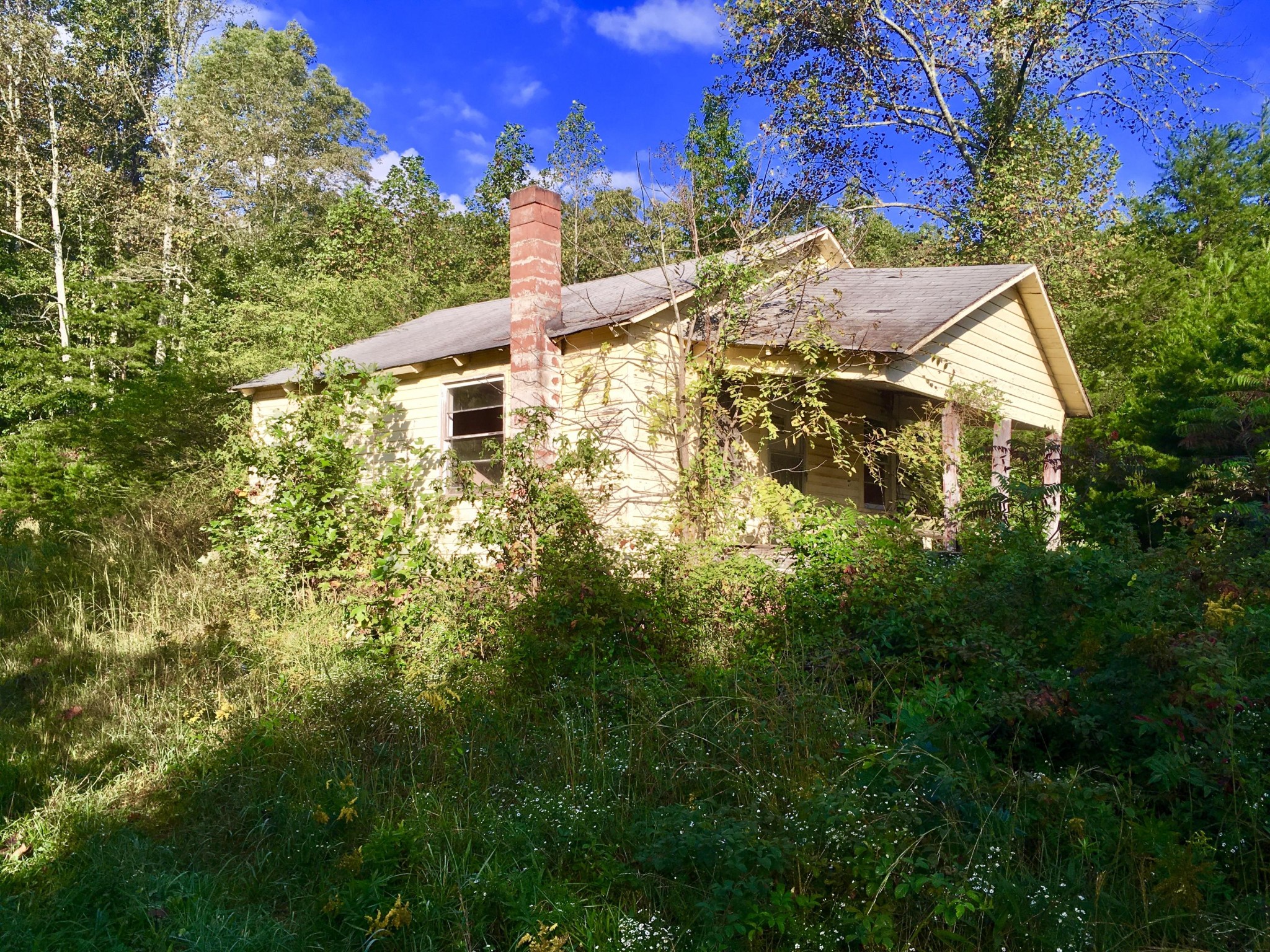 0 Vulcan Road Rising Fawn, GA 30738 - Photo 7 of 13