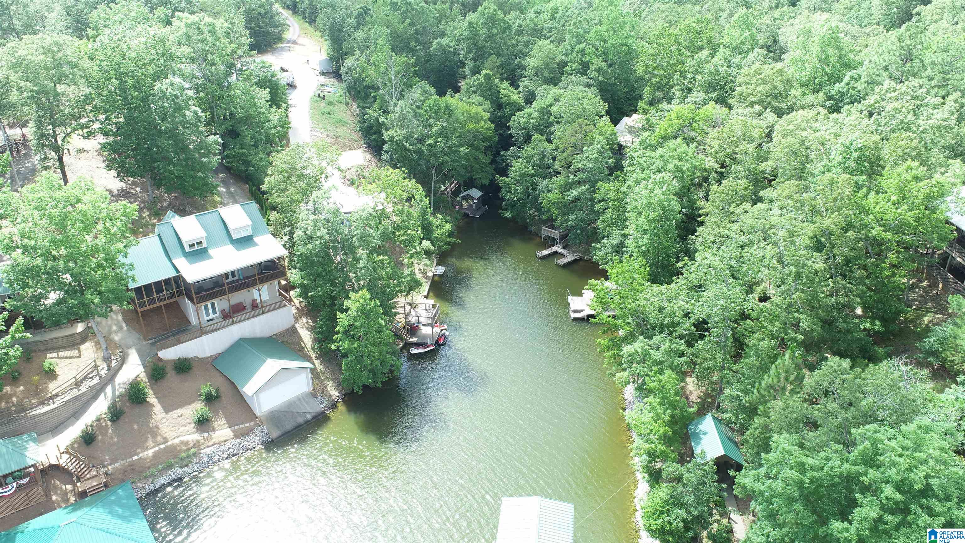 465 Jeans Way Wedowee, AL 36278 - Photo 3 of 16