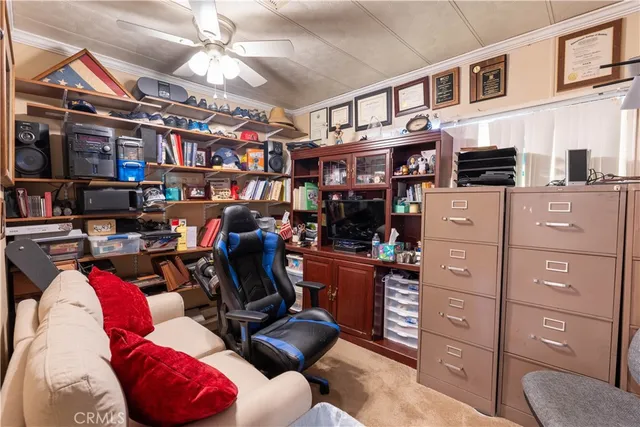 a white house that has a tree in front of it