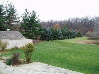 3364 East Samaria Road Temperance, MI 48182 - Photo 6 of 20 792616-5.JPG