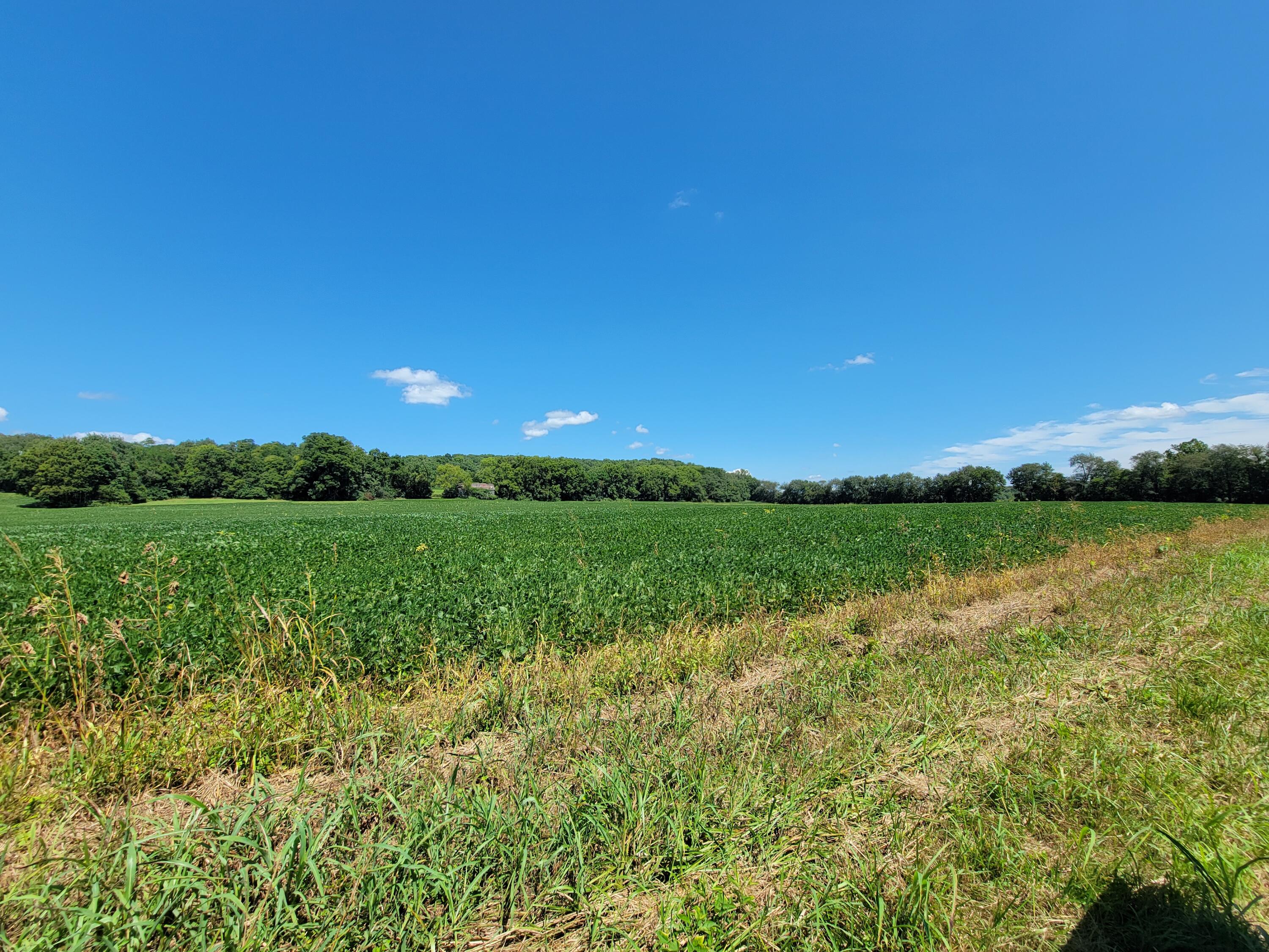 0 Peaks Mill Road Frankfort, KY 40601 - Photo 7 of 35 Gallery Image 7