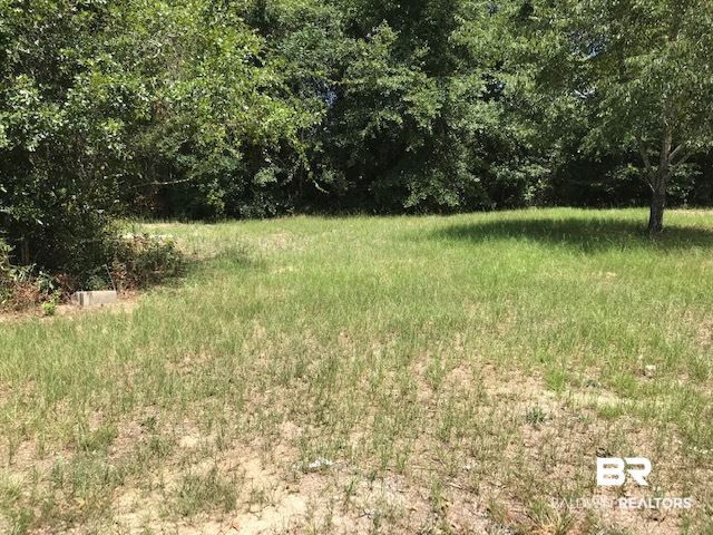 339 Blackburn Lane Brewton, AL 36426 - Photo 8 of 13 Land