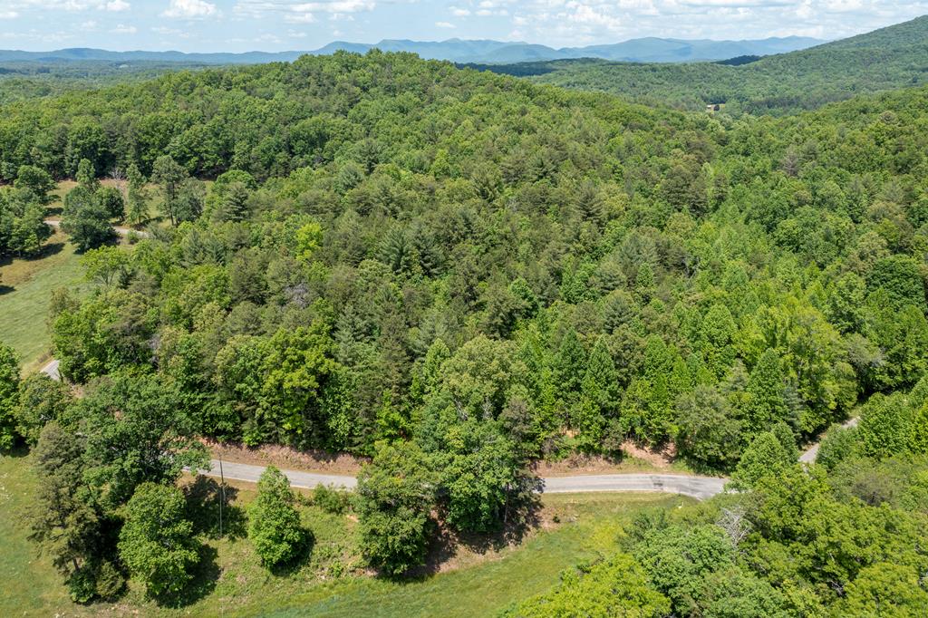 4.0-acre Donley Road Murphy, NC 28906 - Photo 11 of 15