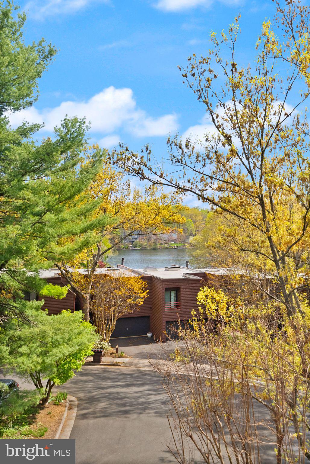 2013 Turtle Pond Drive Reston, VA 20191 - Photo 60 of 62 a view of a yard with an ocean view