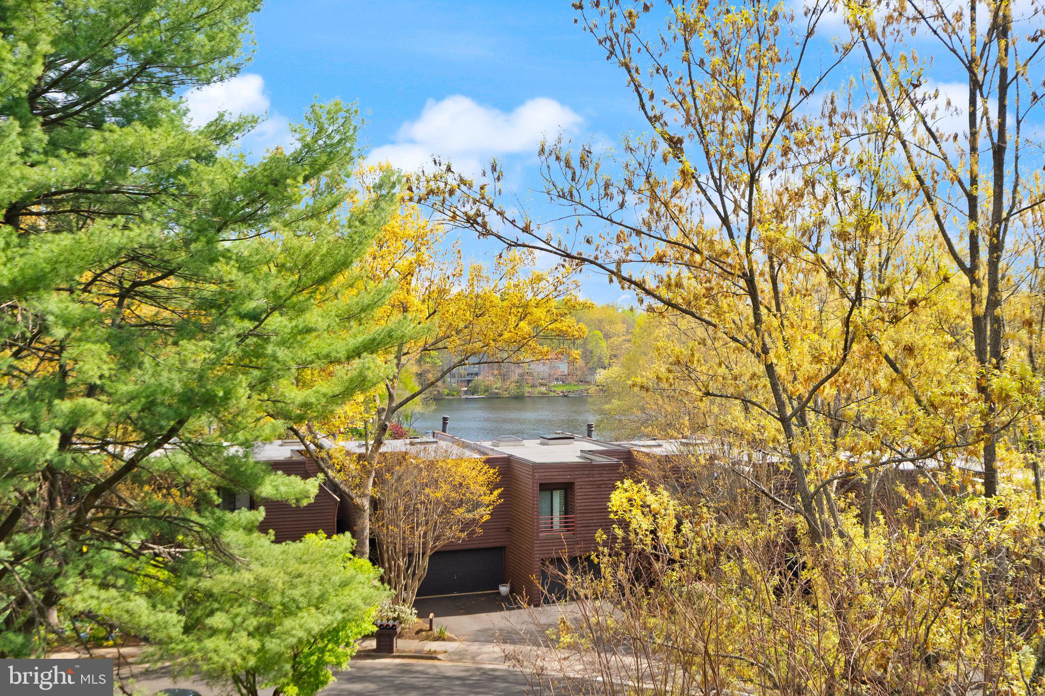 2013 Turtle Pond Drive Reston, VA 20191 - Photo 61 of 62 a view of a yard