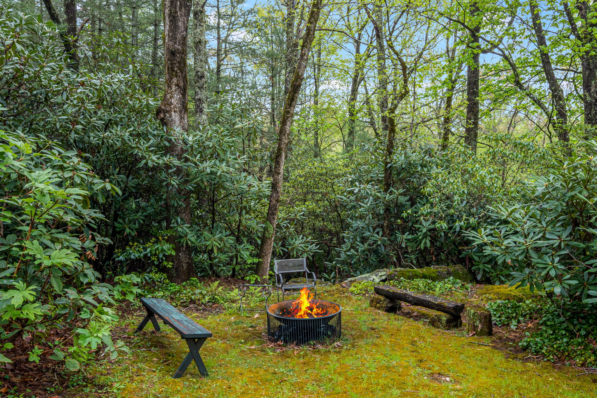476 Winfield Farm Road Scaly Mountain, NC 28775 - Photo 56 of 65 Gallery Image 56