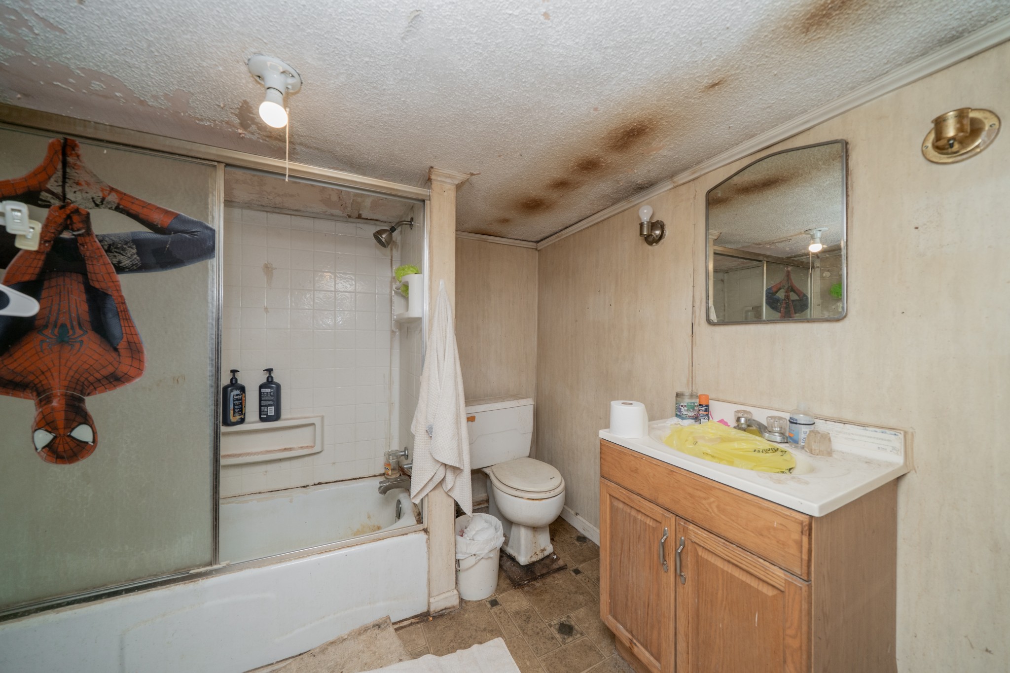 44 Cedar Circle Mulberry, TN 37359 - Photo 8 of 20 a bathroom with a sink a toilet and shower