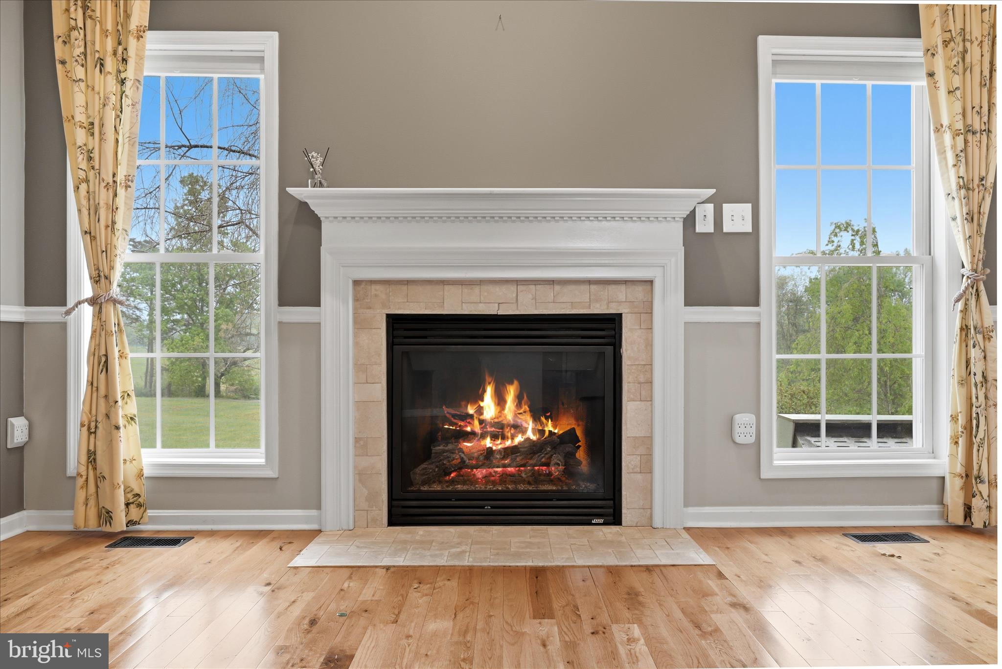 101 Putter Place Cross Junction, VA 22625 - Photo 6 of 46 Gas Fireplace