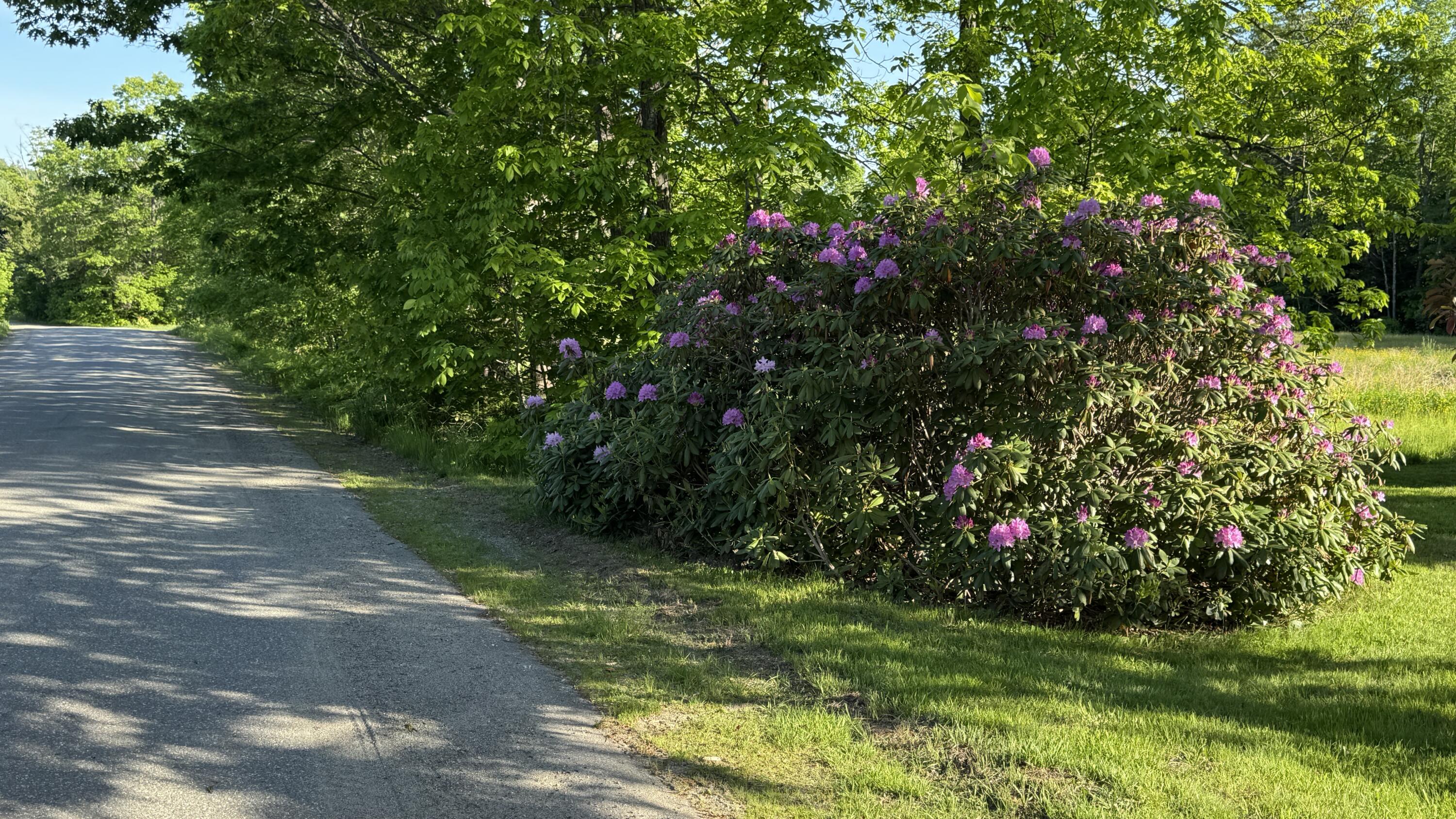 288 Cross Road Avon, ME 04966 - Photo 28 of 29 Yard