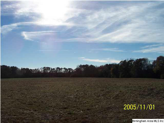 281 Timmerman Road Blountsville, AL 35031 - Photo 1 of 9