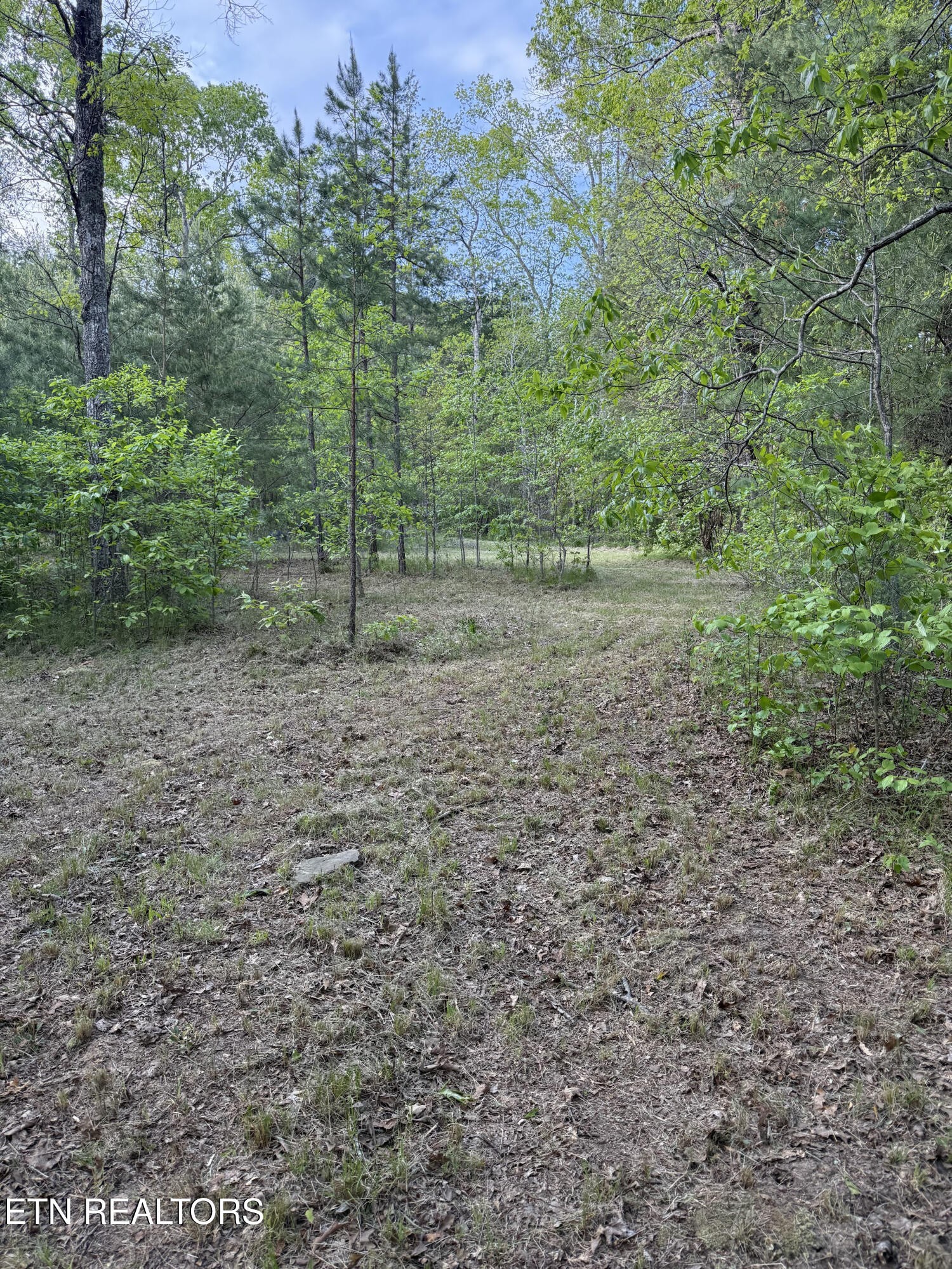 0 Genesis Road Crossville, TN 38555 - Photo 13 of 15