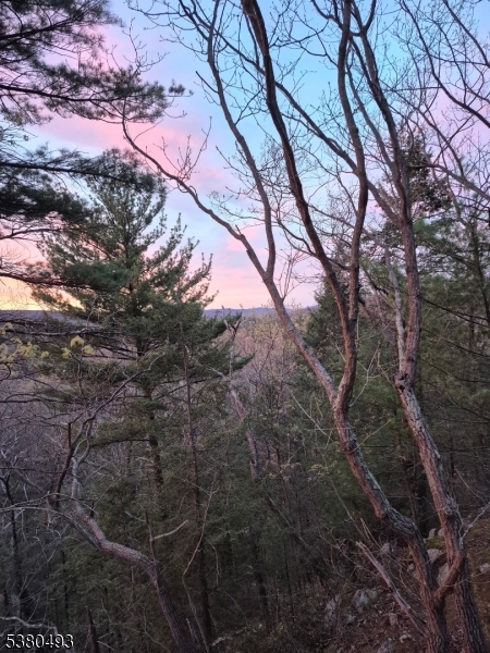 0 Rock Ledge Road West Milford, NJ 07480 - Photo 13 of 17 a backyard of a house with lots of trees